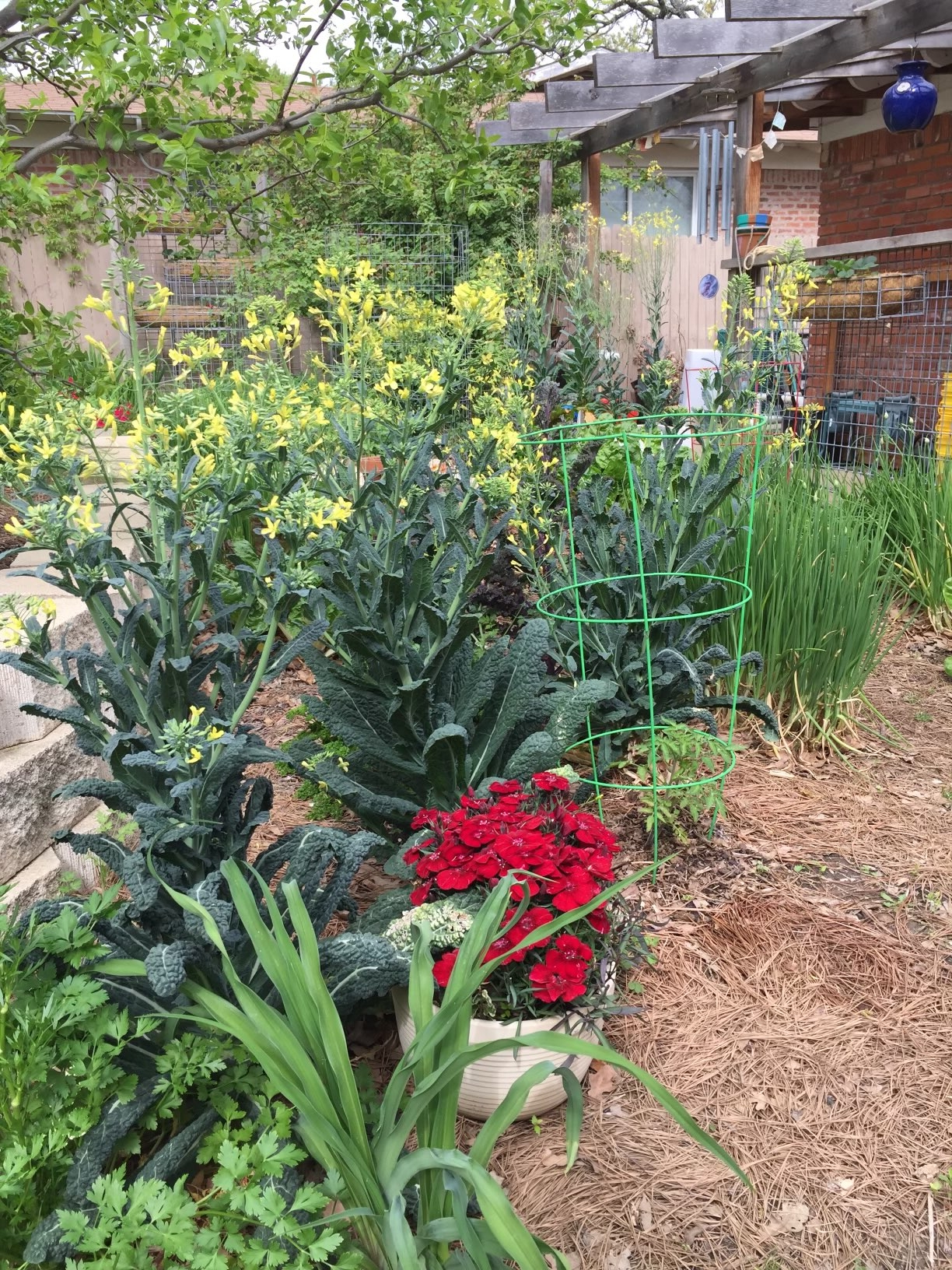 The meditative work of weeding